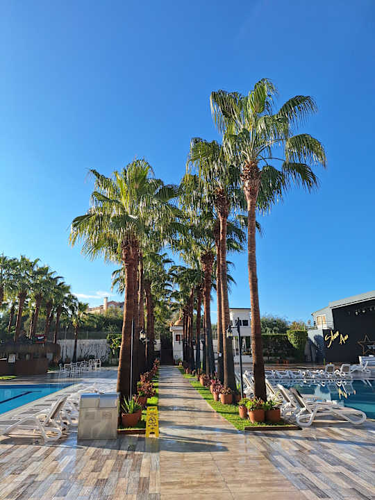 Pool Castival Hotel