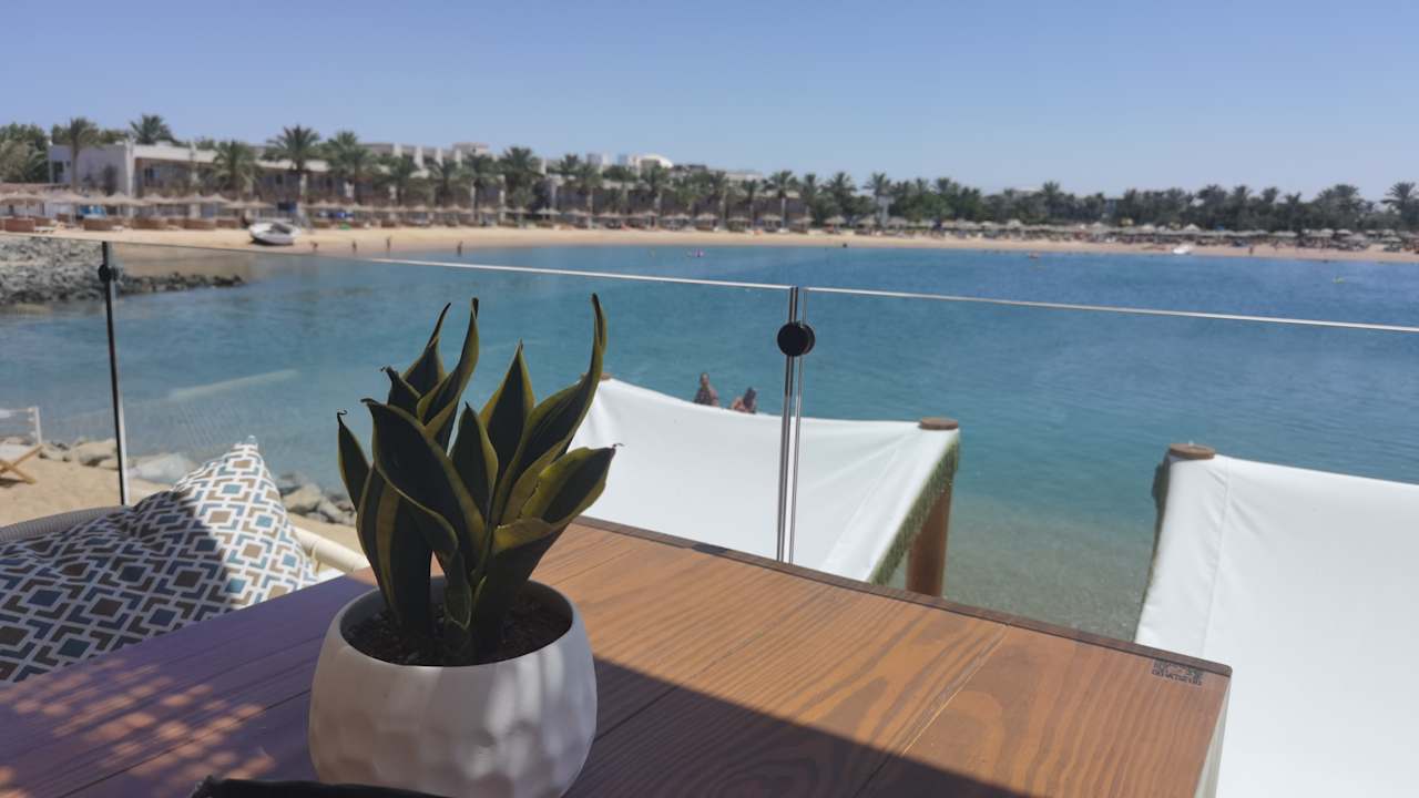 Ausblick Desert Rose