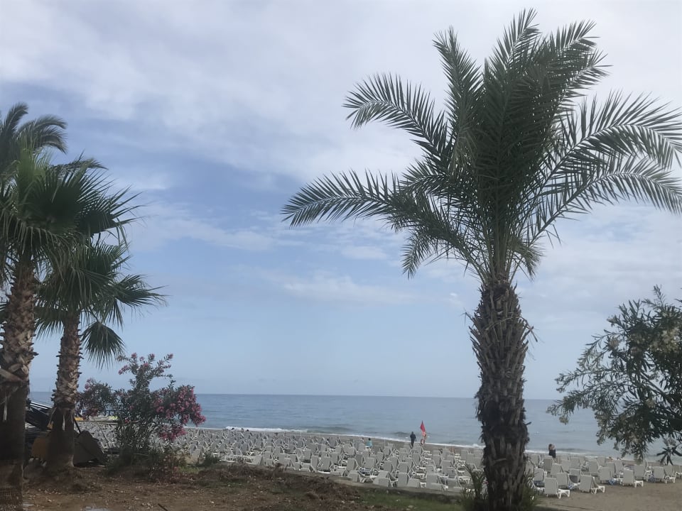 Strand Blue Diamond Alya