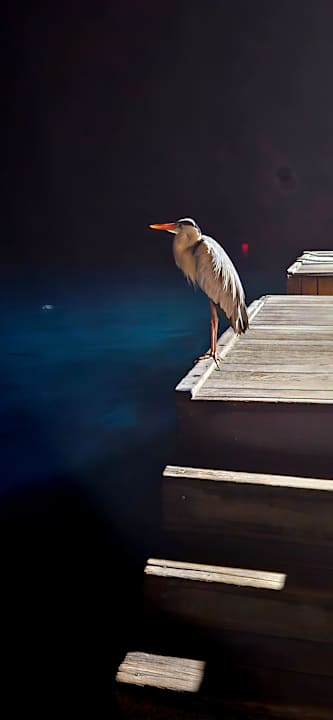 Sonstiges Vilamendhoo Island Resort & Spa