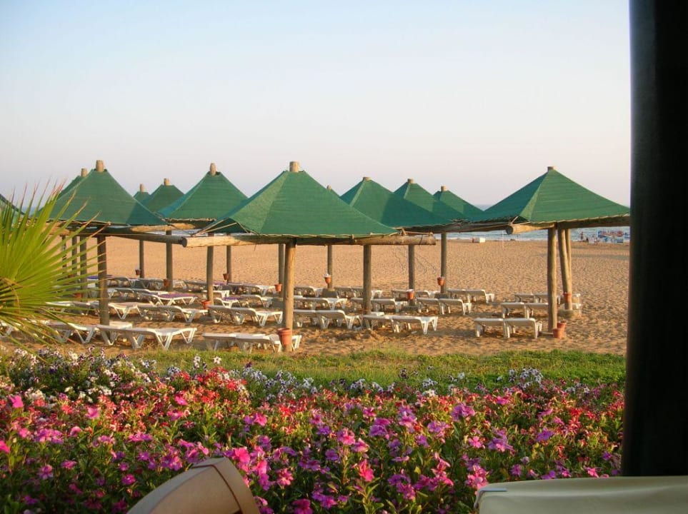 Schöne Aussicht VONRESORT Golden Coast