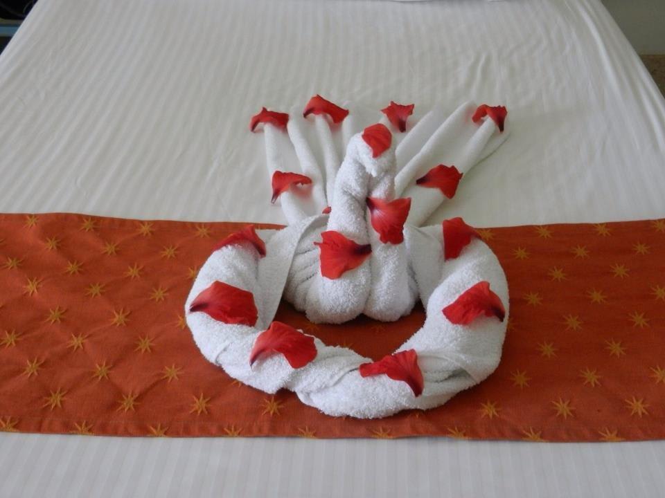 Nette Überraschung von unserer guten Fee! Mövenpick Resort & Spa El Gouna