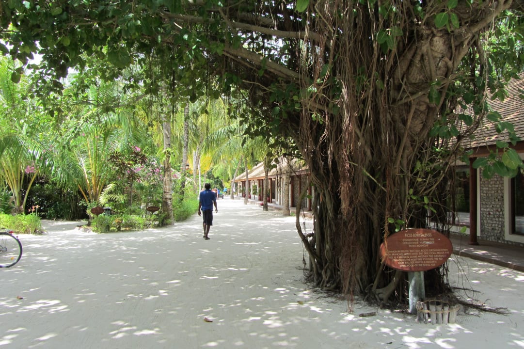 Wege auf Kuredu Kuredu Island Resort & Spa