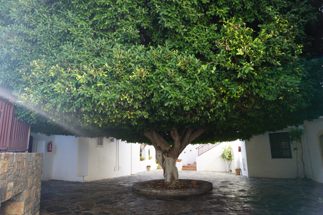 Gartenanlage Creta Maris Resort