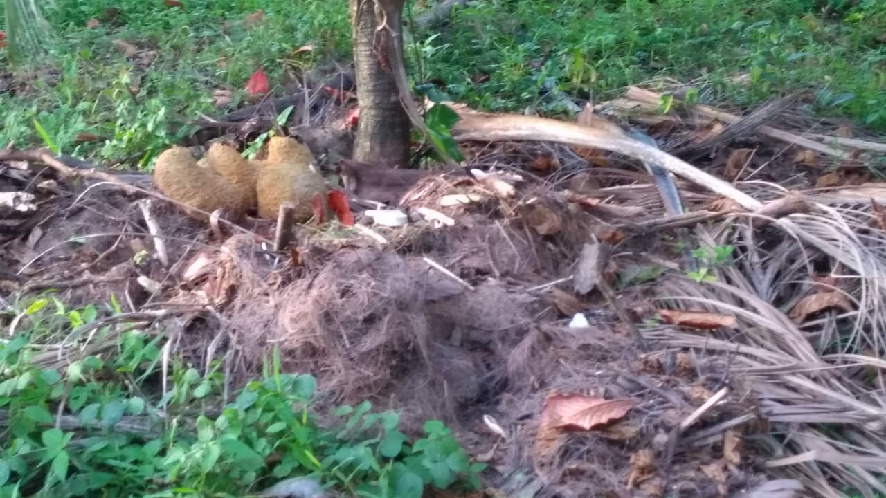 Strand Khaolak Bhandari Resort & Spa