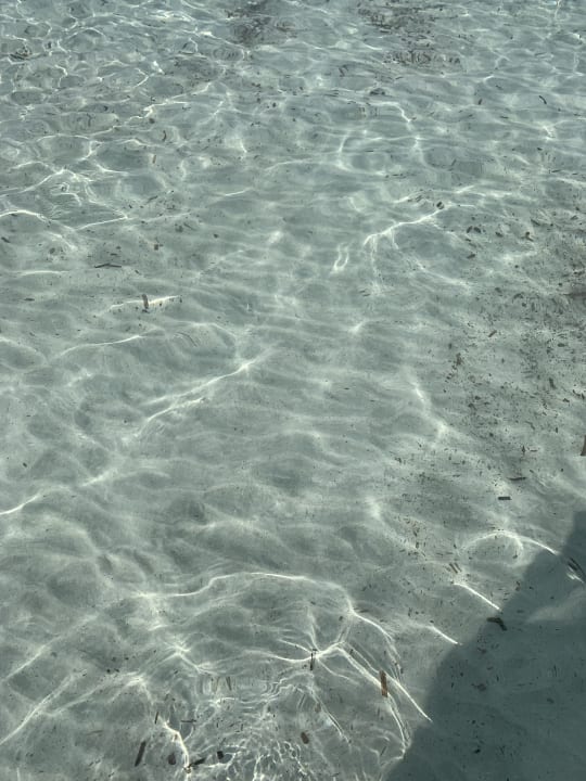 Strand Club Can Bossa