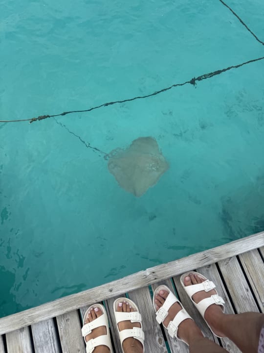 Strand NH Collection Maldives Reethi Resort