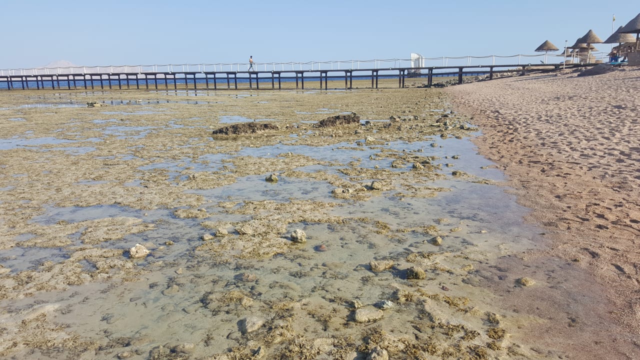 Strand Sharm Grand Plaza Resort