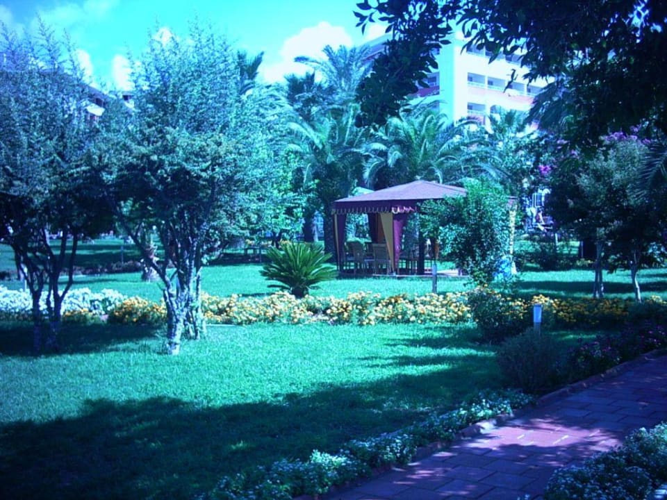 Garten mit Pavillon Seher Kumköy Star Resort & Spa