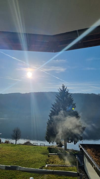 Ausblick Seehotel Wiesler