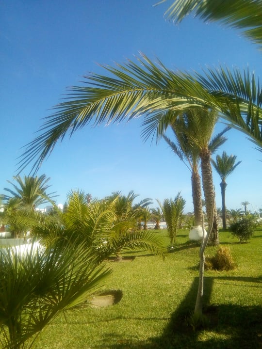 Gartenanlage Vincci Helios Beach