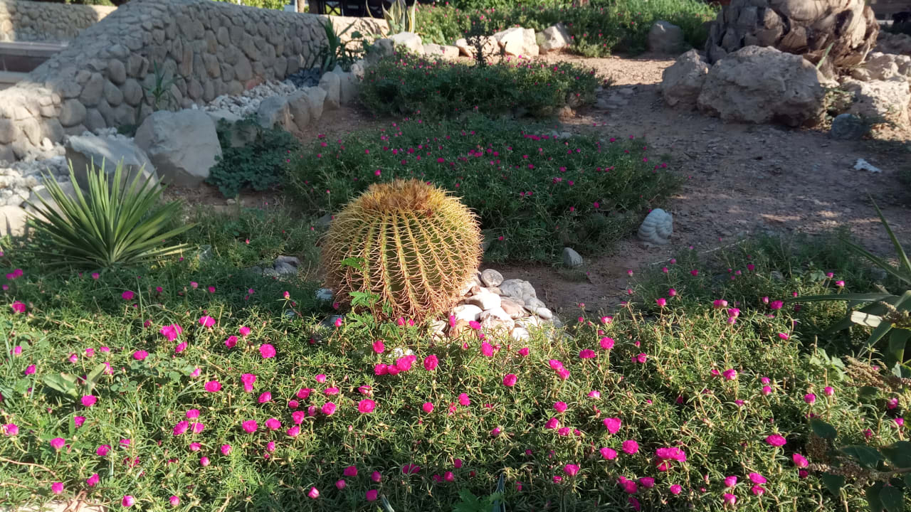 Gartenanlage Regina Resort and Aqua Park Hurghada
