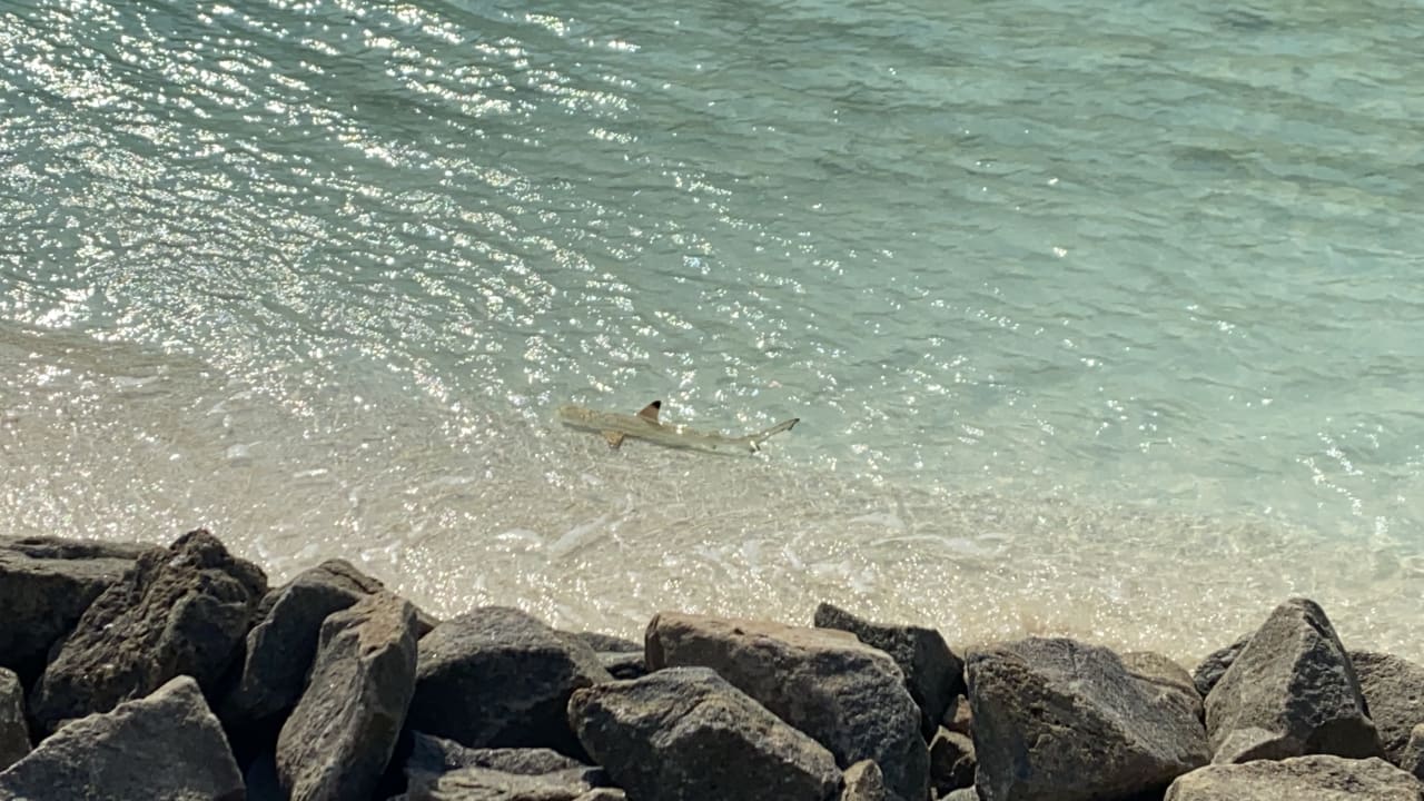 Strand Summer Island Maldives