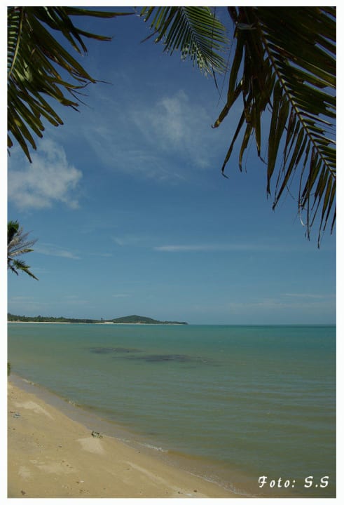 Hotelstrand bei Ebbe Paradise Beach Resort, Samui