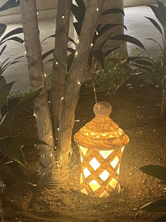 Gartenanlage Steigenberger Makadi Hotel - Adults only