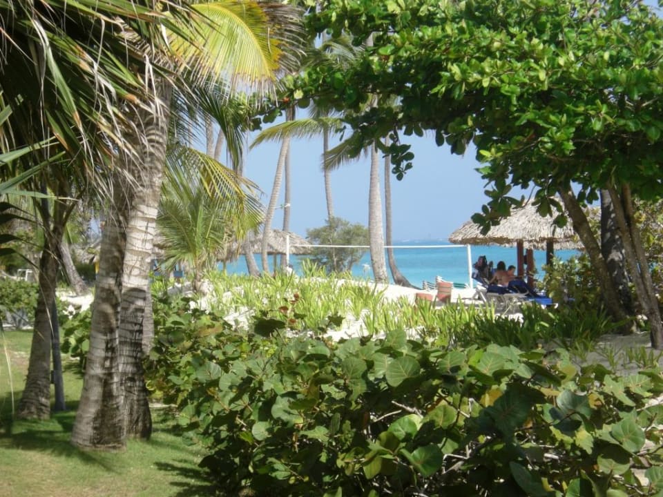 Blick auf den Strand Hotel Grand Palladium Palace Resort, Spa & Casino