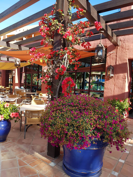 Gastro Bakour Oh Nice Costa del Sol