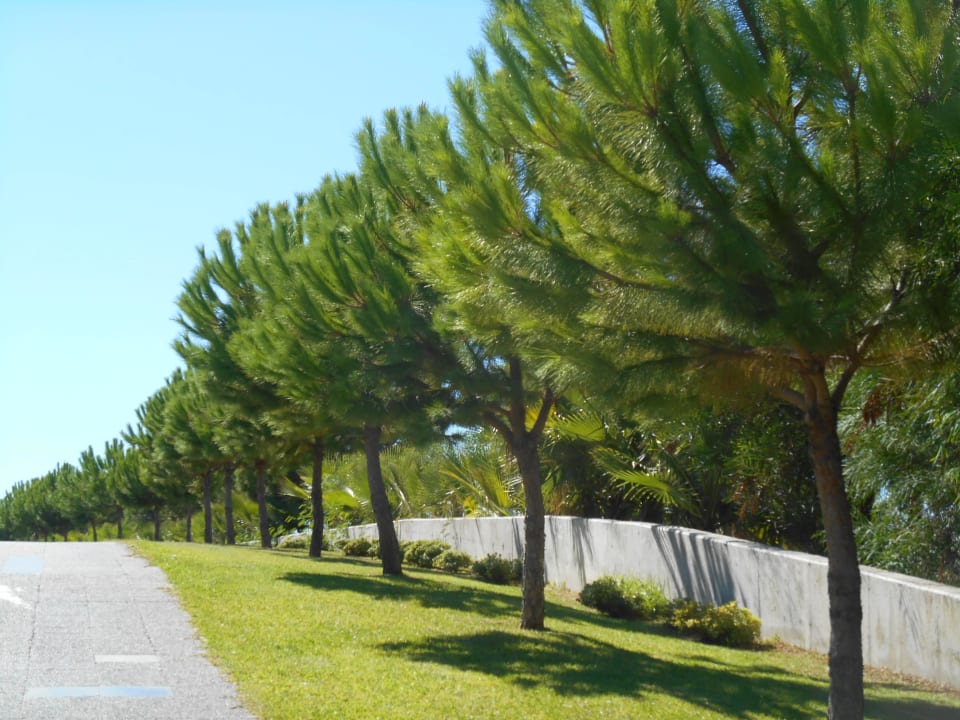 Wege zum Strand Club Grand Side