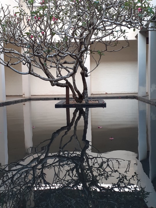 Sonstiges Mermaid Hotel & Club