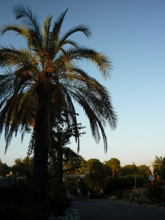 Hotel-brána Papillon Ayscha