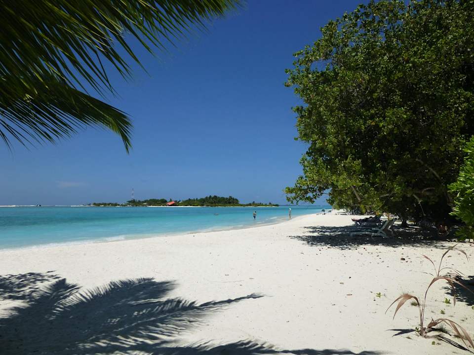 Strand vor unserem Bungi Meeru Maldives Resort Island