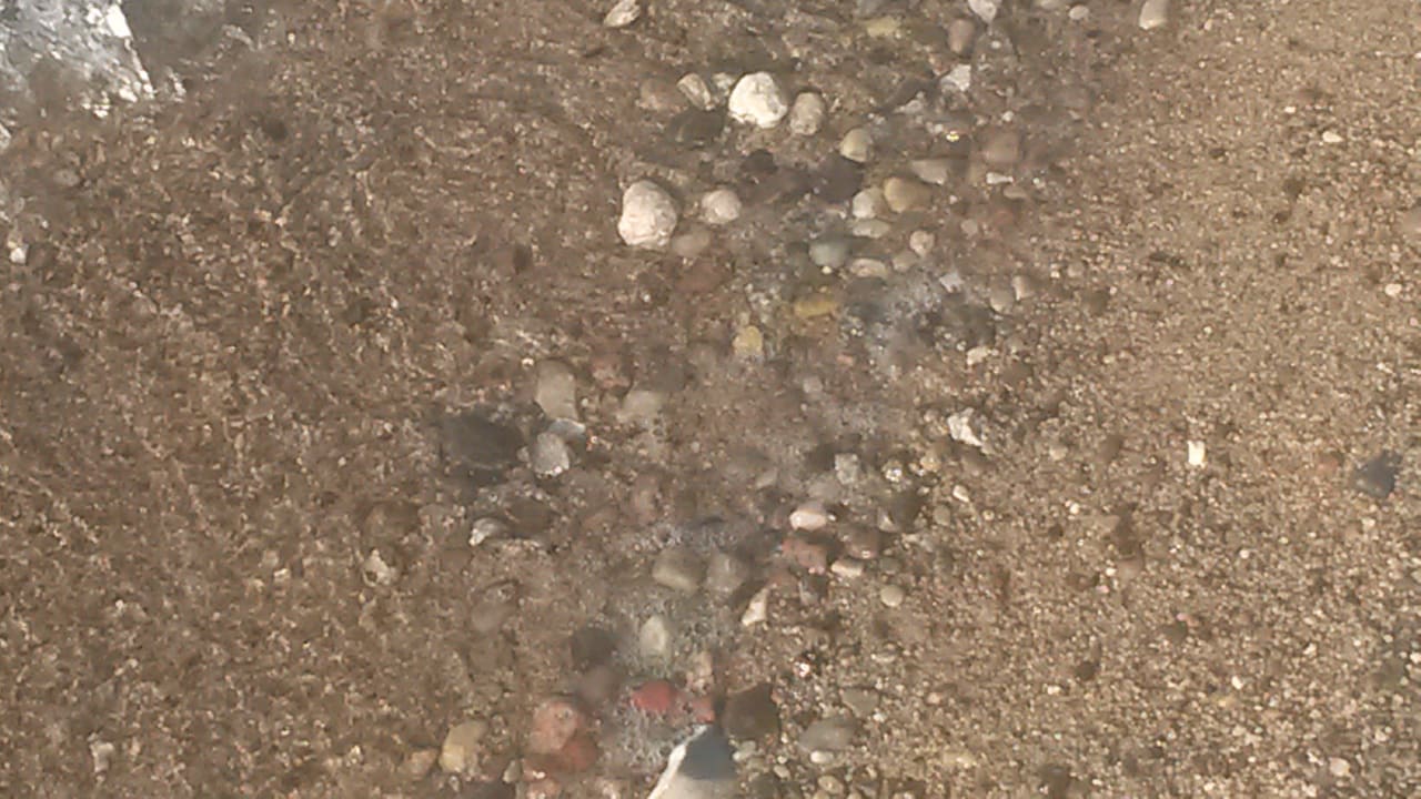 Steine am Strand Ferienwohnungen Ferienpark Weissenhäuser Strand