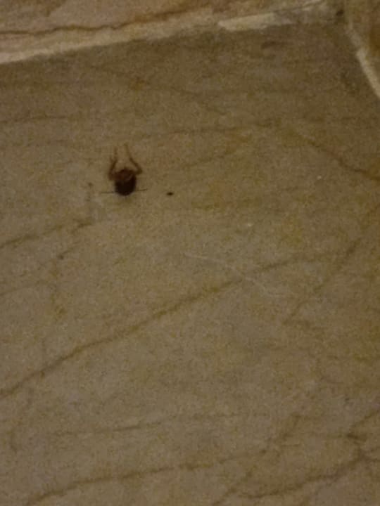 Zimmer Hilton Hurghada Plaza