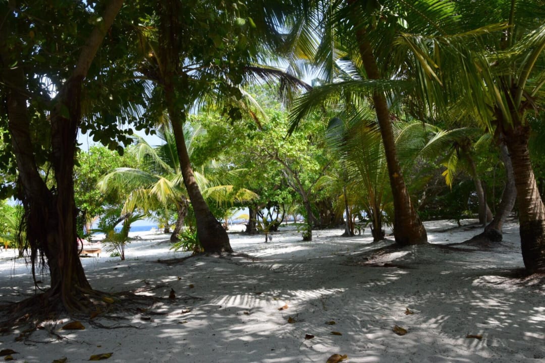 Ausblick Zimmer 109 Adaaran Select Meedhupparu Island Resort - Premium All Inclusive