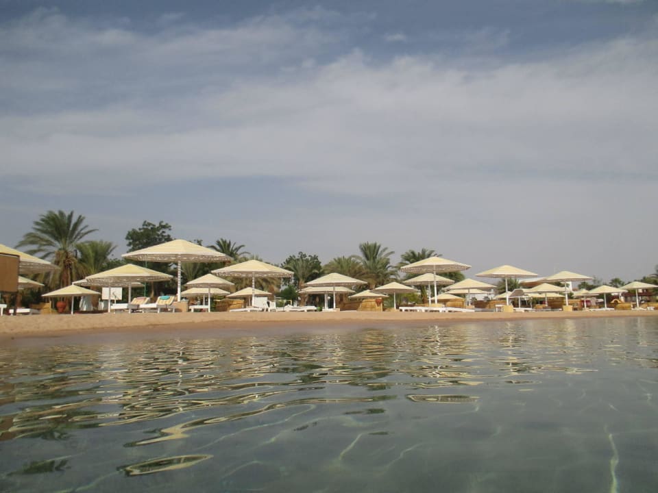 Blick vom wasser  Menaville Safaga