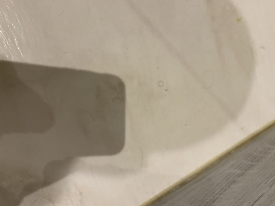 Zimmer Mercure Leonardo da Vinci Airport