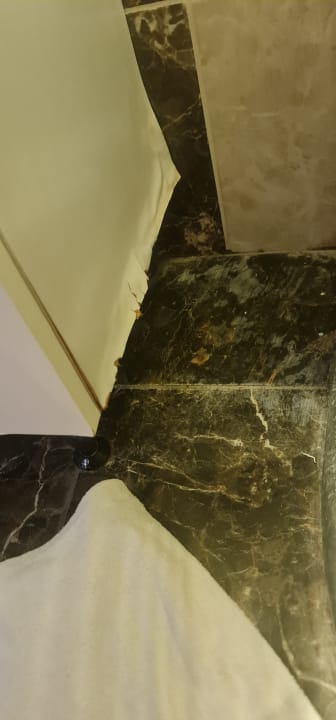 Zimmer Hotel Club Tess