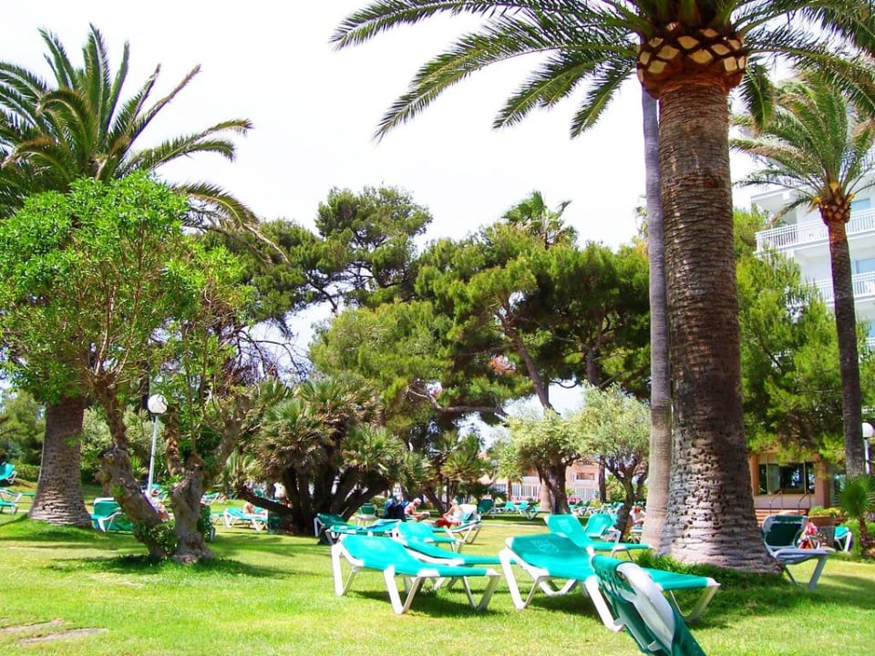 Die Liegen zwischen den Palmen Playa Esperanza Resort