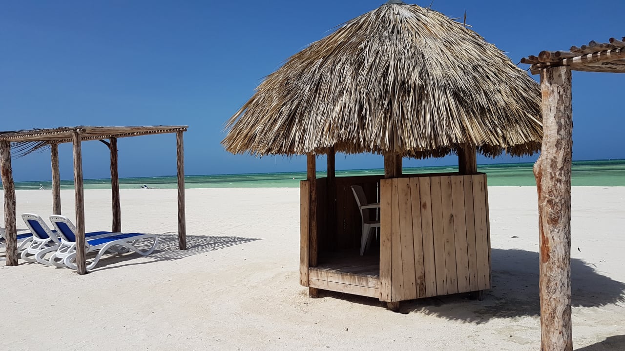 Strand Starfish Cayo Guillermo