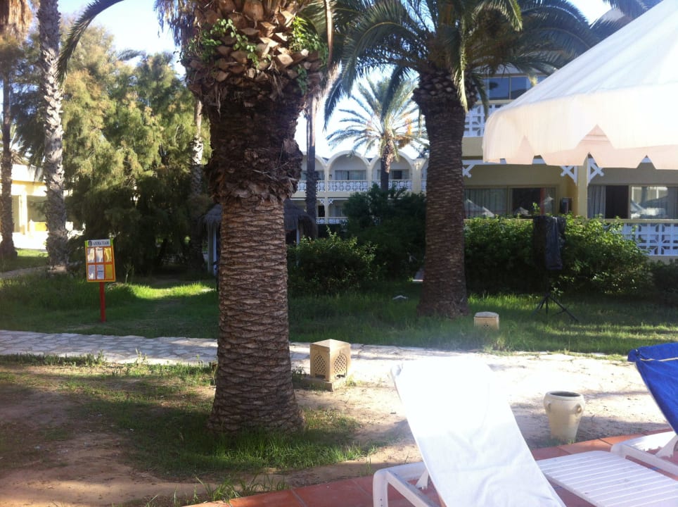 Gartenanlage Hotel Marhaba Club