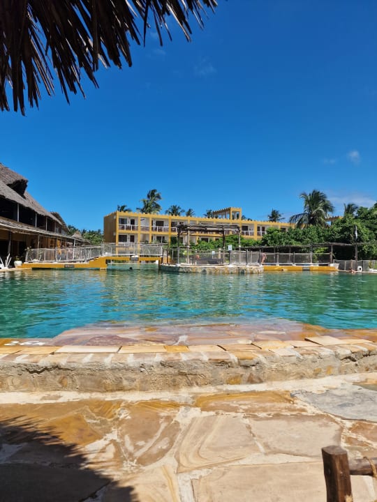 Pool Reef & Beach Resort