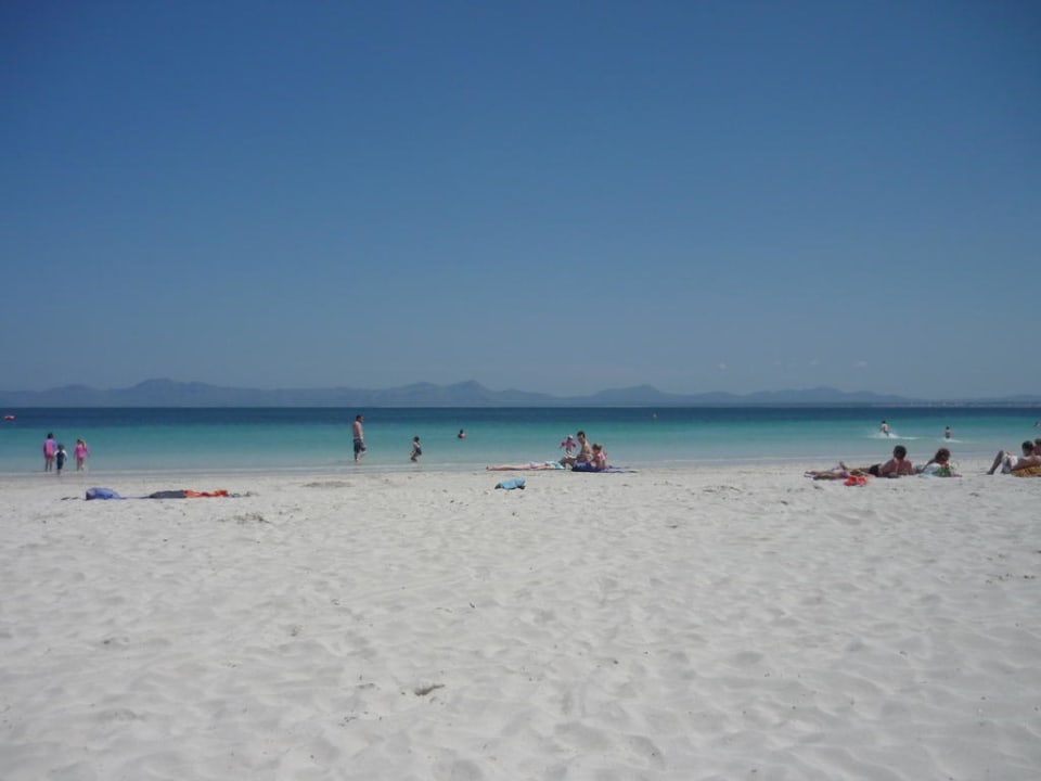 Der wunderschöne Strand von Alcudia BQ Delfin Azul Hotel