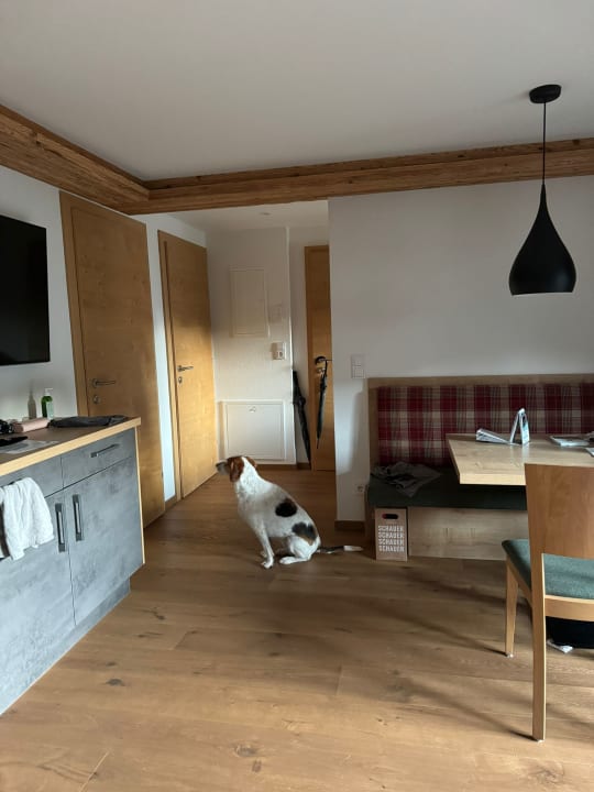 Zimmer Appartement Schwaiger