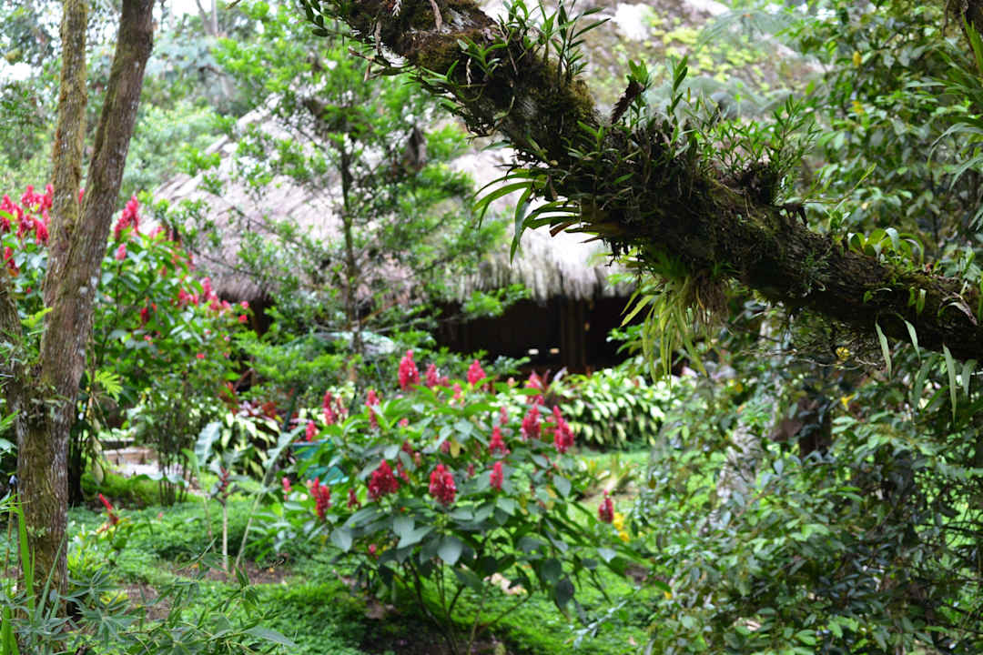 Restaurant eins mit der Natur Huasquila Amazon Lodge