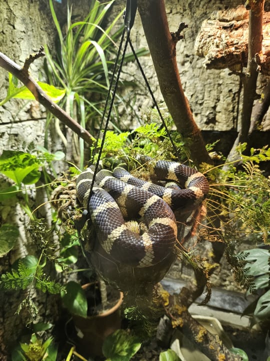 Sport & Freizeit Ferienwohnungen Ferienpark Weissenhäuser Strand