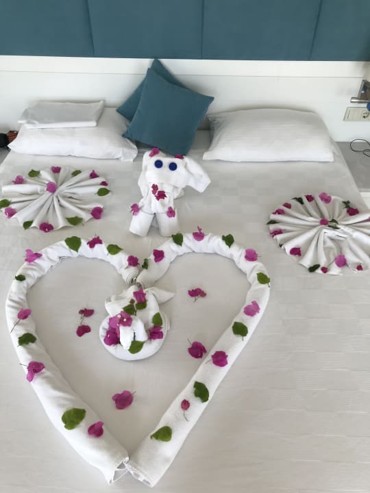 Zimmer Asteria Bloom Side