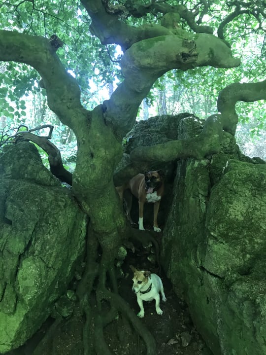 Sonstiges Ferienhof Feinen