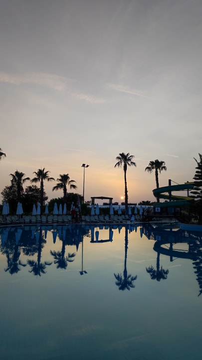 Pool Alba Resort Hotel