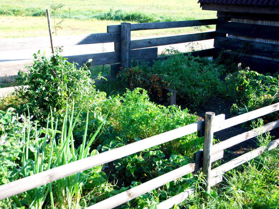 Ekologiczny ogródek  Dwór Stanica Rzeczna Łabędzie