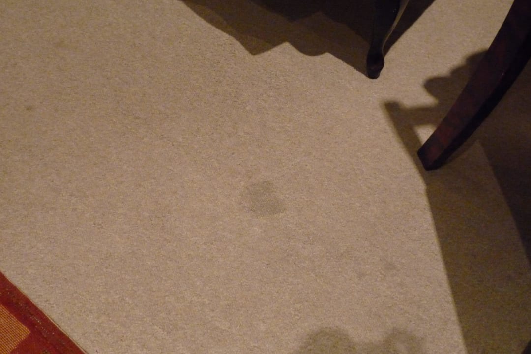 Fleckiger Teppichboden Guesthouse The Thorntree Country House