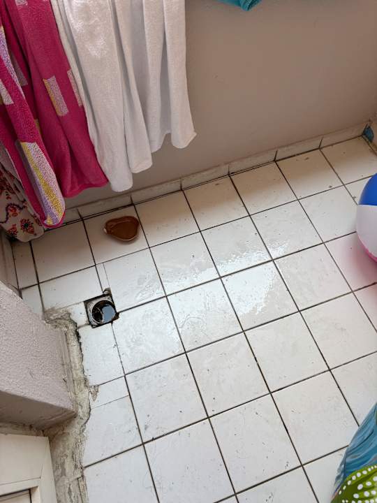 Zimmer Grand Bahama Beach Hotel