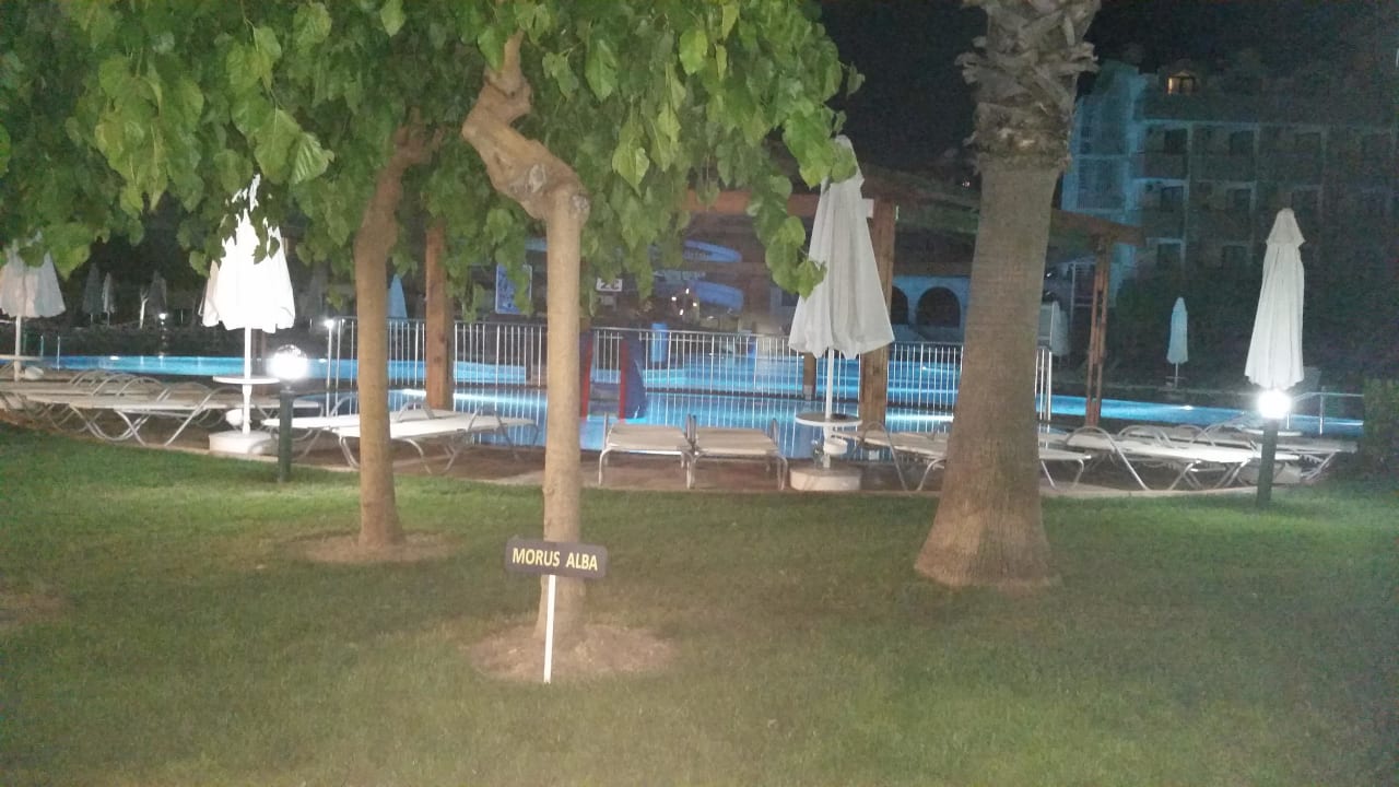 Pool am Abend Grand Seker Hotel