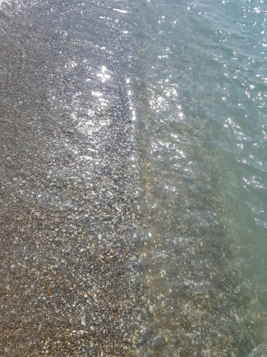 Strand Crystal Family Comfort Collection