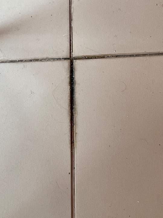 Gastro Hotel Sidekum