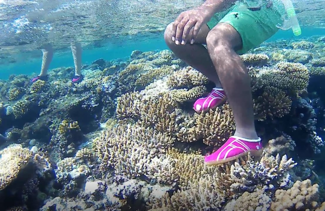 Strand Blue Reef Red Sea Resort