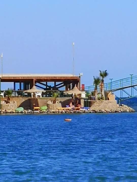 Ausblick Desert Rose